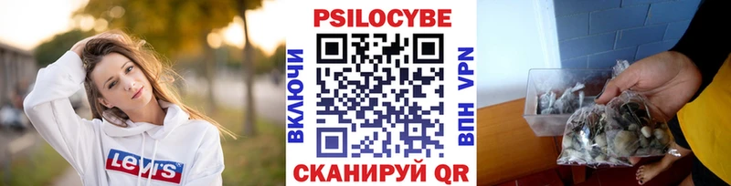 Псилоцибиновые грибы Psilocybe  что такое наркотик  кракен сайт  Старая Русса 
